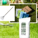 Everything you need to maintain your lawn throughout the year