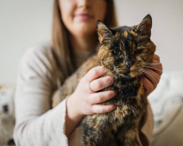Flossie, pictured here with new owner Vicki, has been named the world’s oldest cat by the Guiness Book of World Records.