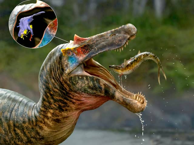 The brains of spinosaurs, the biggest meat-eater to ever exist on our planet, have been unveiled by a group of UK and US scientists.