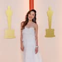HOLLYWOOD, CA - MARCH 12: Michelle Yeoh attends the 95th Academy Awards at the Dolby Theatre on March 12, 2023 in Hollywood, California. (Allen J. Schaben / Los Angeles Times via Getty Images)