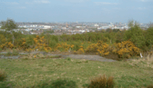 The poor animal was found dead by passers-by at a park in Wirral, Merseyside - Credit: GFA and Google Streetview
