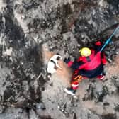 Video from Avon and Somerset Drone Team shows stranded dog's tail wagging with joy as fire crews abseil down to recuse him from a cliff face