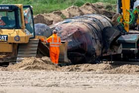 A large whale was found washing up on a British beach this week