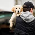 Environment Secretary George Eustice said there has been a “worrying” rise of pet thefts during the Covid pandemic, but said the creation of the pet theft taskforce will help deal with the issue (Photo: Shutterstock)