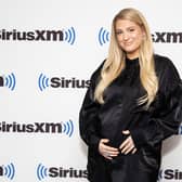 Meghan Trainor has welcomed her second child with husband Daryl Sabara named Barry Bruce (Photo by Santiago Felipe/Getty Images)