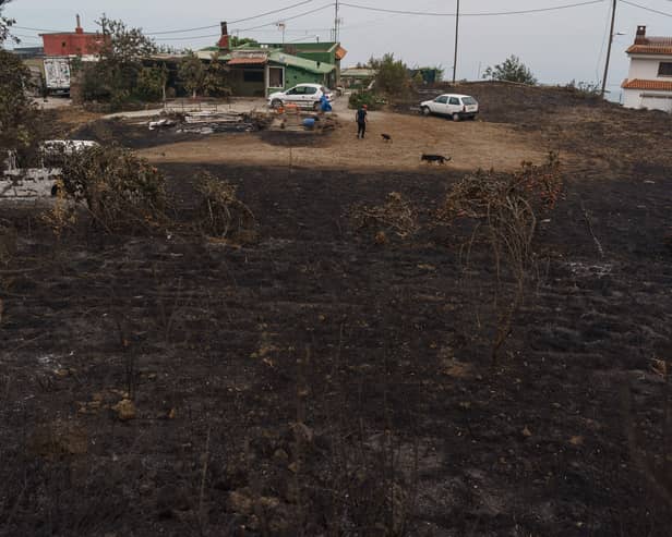 Thousands of people have been evacuated from the island of Tenerife as wildfires spread throughout the island. (Credit: Getty Images)