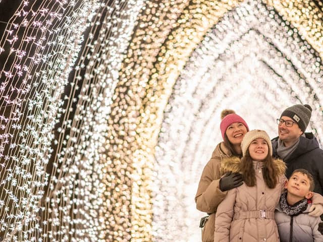Christmas Cathedral