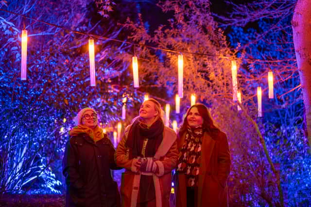Floating Candles bring Hogwarts-like magic to Christmas at the Botanics 2024