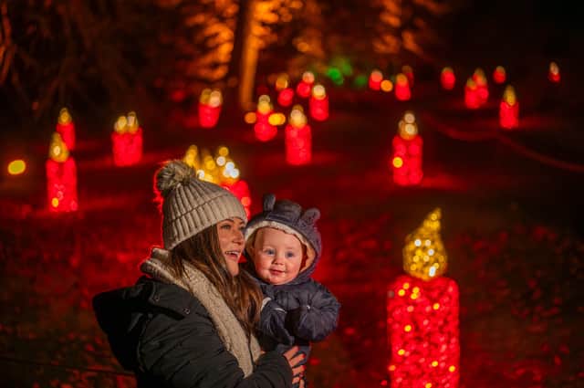 Making memories at Christmas At The Botanics 2024