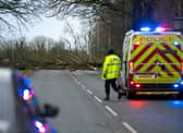 Paul Fiddler died after a tree fell onto his Citroen van on the A59 at Longton
