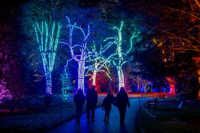 Making memories at Christmas At The Botanics 2024