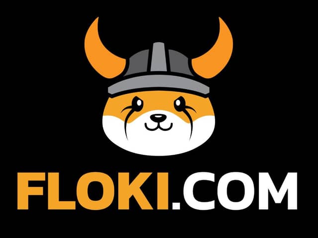 FLOKI launched Valhalla on mainnet today (30)