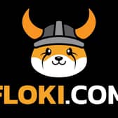 FLOKI launched Valhalla on mainnet today (30)