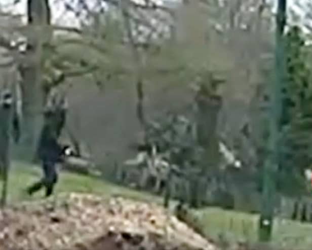 Harrowing CCTV shows the final moments of a teenager's life as he fled two thugs who stabbed him in a park in broad daylight.  
