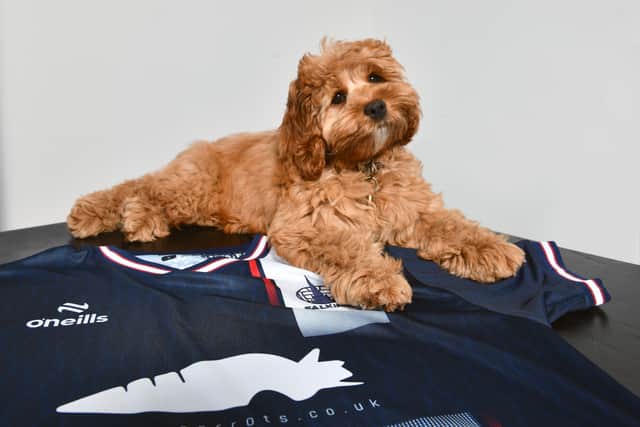 Crunchy Carrots' youngest team member Arthur is loving all the extra attention that comes with being Falkirk principal sponsor (Photo: Michael Gillen)