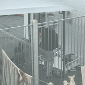 Elizabeth Perrin (Date of birth: 04.08.1972), of Thorncliffe Avenue, and Trevor Hague, (date of birth: 22.03.1973) of Town Lane, both Dukinfield, Greater Manchester, were prosecuted after an RSPCA inquiry.
