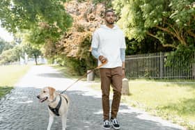 There’s nothing better than taking your dog for a walk.
