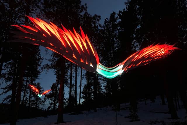Night Birds by Michael Young will soar above, spreading their neon-lit wings across the dark winter sky at Christmas At The Botanics 2025.