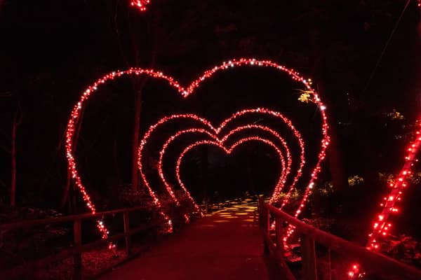 Capture the love at Christmas A The Botanics 2025 by snapping a picture in the Heart Arch Walk by ArtAV. Photo by Kat Gollock