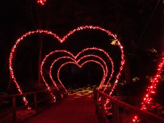 Capture the love at Christmas A The Botanics 2025 by snapping a picture in the Heart Arch Walk by ArtAV. Photo by Kat Gollock
