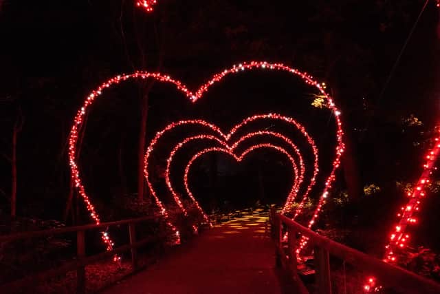 Capture the love at Christmas A The Botanics 2025 by snapping a picture in the Heart Arch Walk by ArtAV. Photo by Kat Gollock