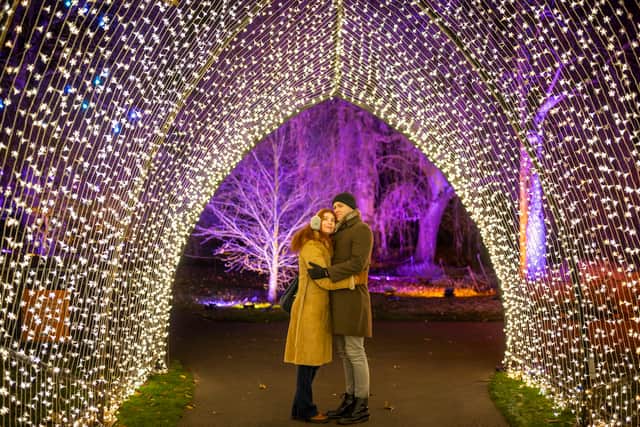 The iconic Christmas Cathedral by Mandylights will return for the 2025 trail.