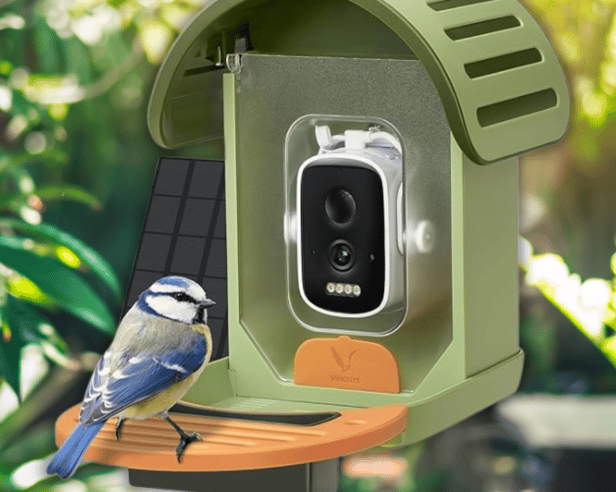 The VINGUYS Bird Feeder Camera brings tech to birdwatching