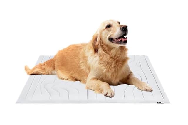 Cooling Mat for Dogs, Portable Dog Cool Bed for Summer