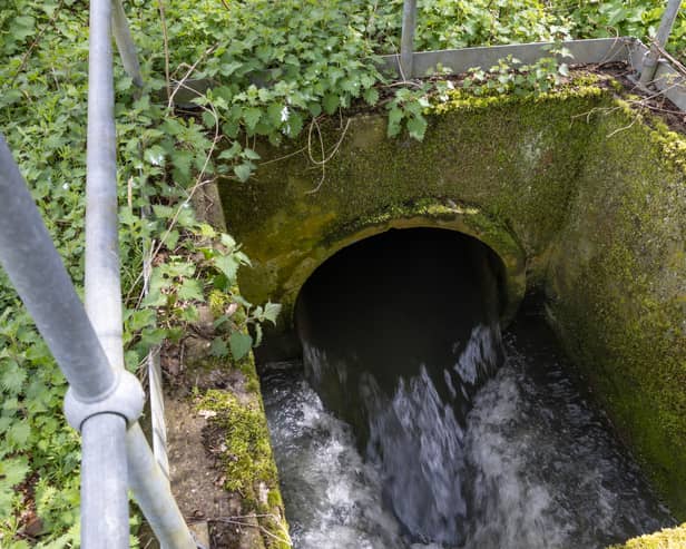 Sewage is discharged into Earlswood brook from a nearby treatment works, run by Thames Water in April 2023 in South Earlswood, England (Photo: Dan Kitwood/Getty Images)