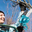 A mini chainsaw is an ideal tool for pruning season