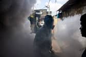 The risk of the chikungunya virus spreading to the EU has been classed as ‘high’ by the ECDC. 