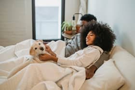 The last thing you want is fleas in your bed.