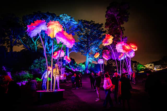 A spectacular garden of giant illuminated flowers will dazzle at Christmas at the Botanics.