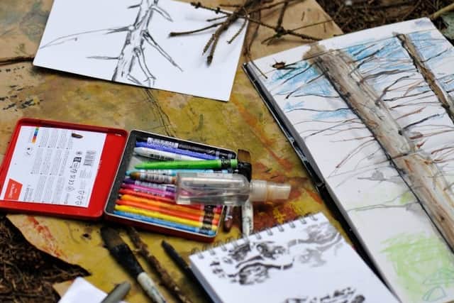 sketching in the woods