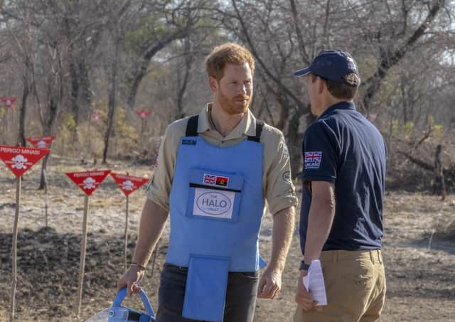 Prince Harry and The Halo Trust's CEO James Cowan prepare to eradicate a landmine in Angola during a recent visit to the country where Princess Diana first raised awareness in 1997.