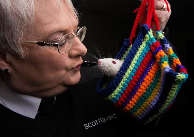 Hands-on...Superintendent Sharon Comrie (60) has worked for the SSPCA for an incredible 47 years. A love of animals saw her volunteer from the age of 13 and she's never left since!