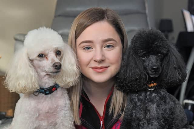 Shannon Hannah is competing in this year’s Crufts event with toy poodles Buddy and Sammy. Picture: Michael Gillen