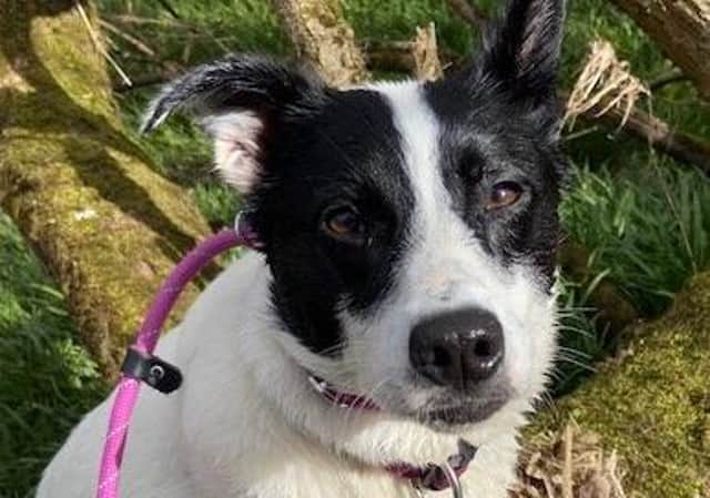 Leah, from Bainsford