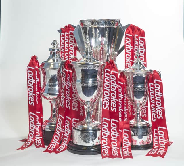 Three of the four league trophies have been decided. Picture: Jeff Holmes JSHPIX.CO