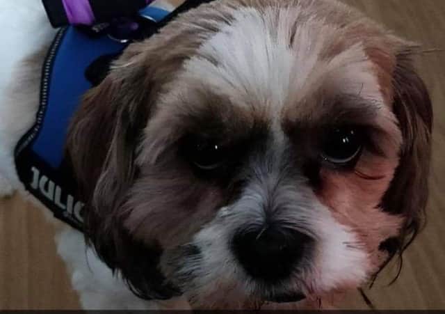 Benji