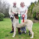 Bill and Fran Barnbrook with Irish wolfhound Bribiba’s Jinkabout, which won Best Puppy in Group at Crufts. Picture: Michael Gillen