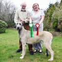 Bill and Fran Barnbrook with Irish wolfhound Bribiba’s Jinkabout, which won Best Puppy in Group at Crufts. Picture: Michael Gillen