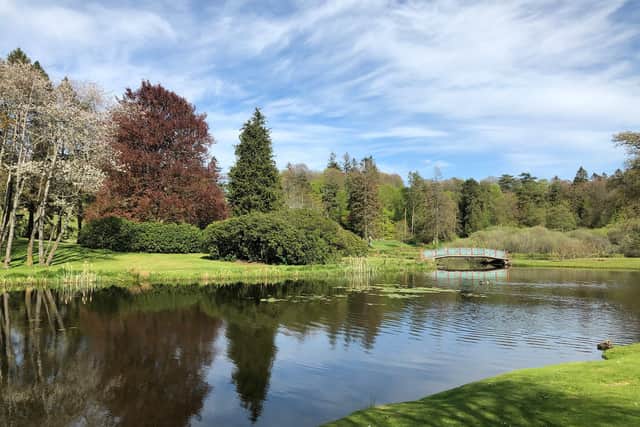 Drink in that view...Dalswinton House in Dumfriesshire is owned by Sarah and Peter Landale who were happy to share their stunning garden to cheer people up and raise as much as possible for Kirkmahoe Parish Church of Scotland.