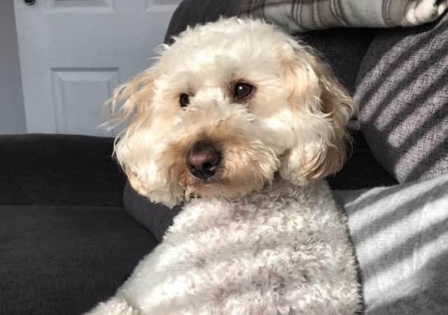 Hugo
