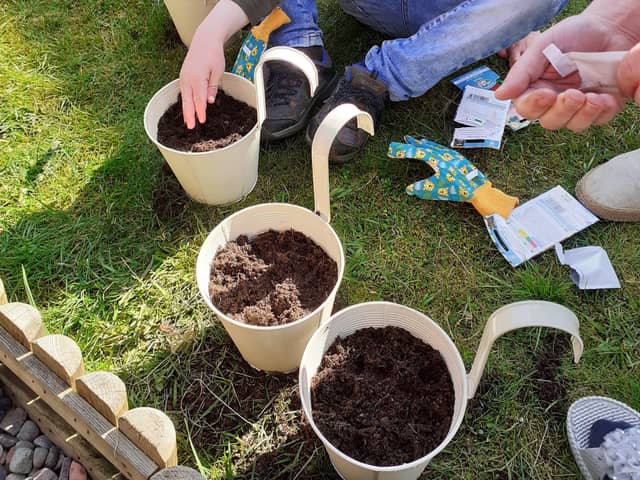 Josh Cupples gets to work on his gardening badge.