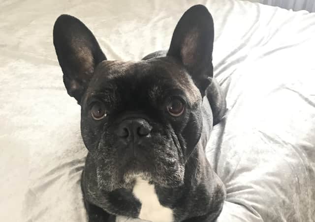 Rocco