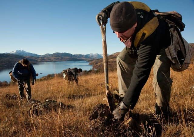 Native tree planting...at Loch Katrine has helped Scotland lead the way in the UK.