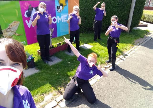 Bustin’ some moves...staff at the Dunbartonshire centre hope the public will respond to SSPCA’s face mask appeal.