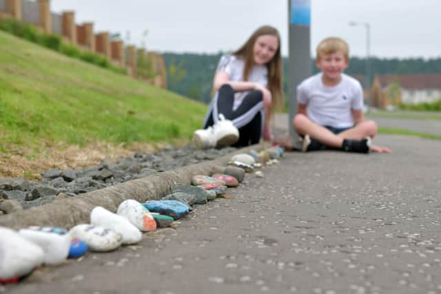 Lucy and Josh Murray started the caterpillar for all the children in the Callendar Rise estate around three weeks ago.