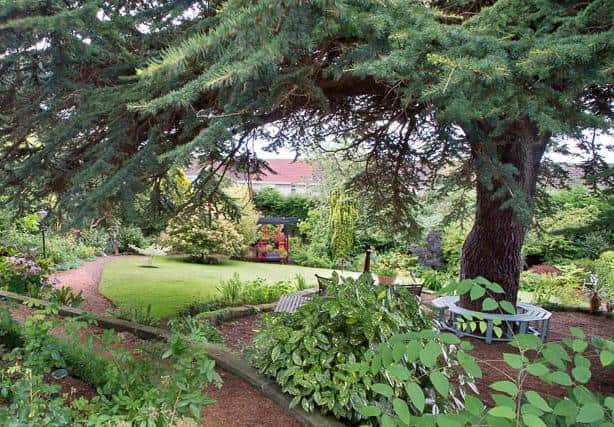 Tremendous interest...not only in the Cedar of Lebanon tree but also in the current owners' unusual and exotic plants featured in a series of garden 'rooms', along with a Japanese pagoda. (Pic: Ray Cox Photography)